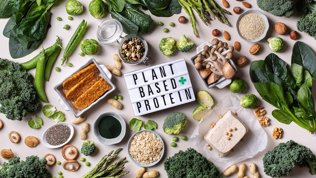 The Healthy Benefits of a Plant-Based Diet Food