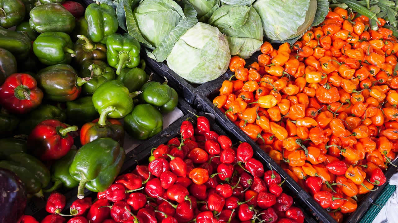 Home 18 Nourishing the Planet: The Impact of Food Choices on the Environment