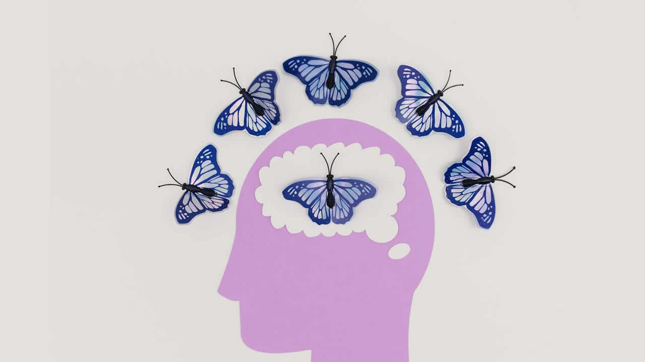 Home 17 Unraveling the Mystery: The Intricate Dance of the Gut-Brain Connection