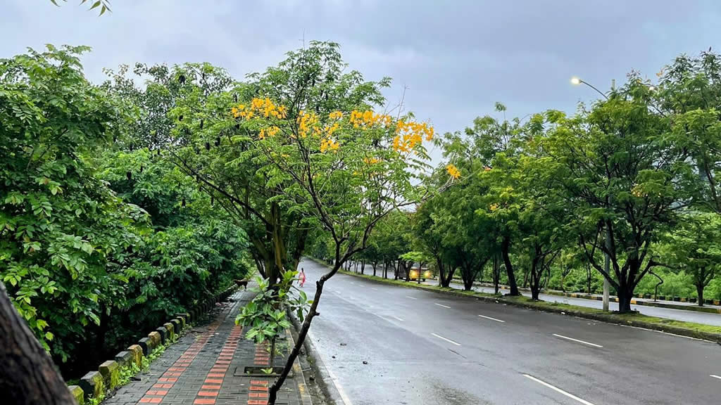 Home 18 5 Immunity-Boosting Foods to Add This Monsoon – Recommended by Zenith Diet Clinic