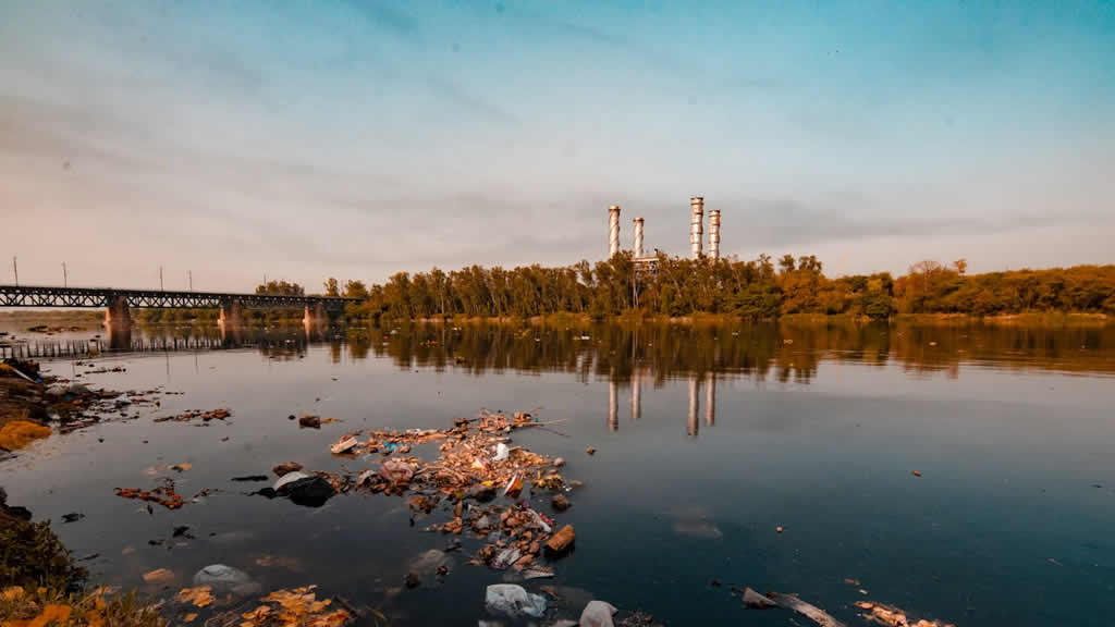 Detox & Nourish — How to Beat Winter Smog Fatigue with the Right Diet