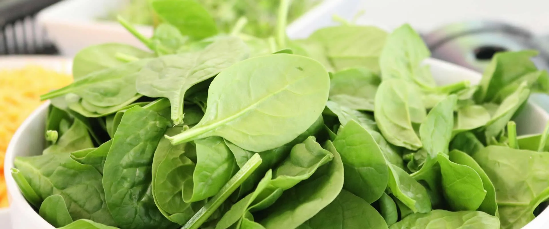 Plant Powered Protein Top Vegetarian Foods Rich in Protein
