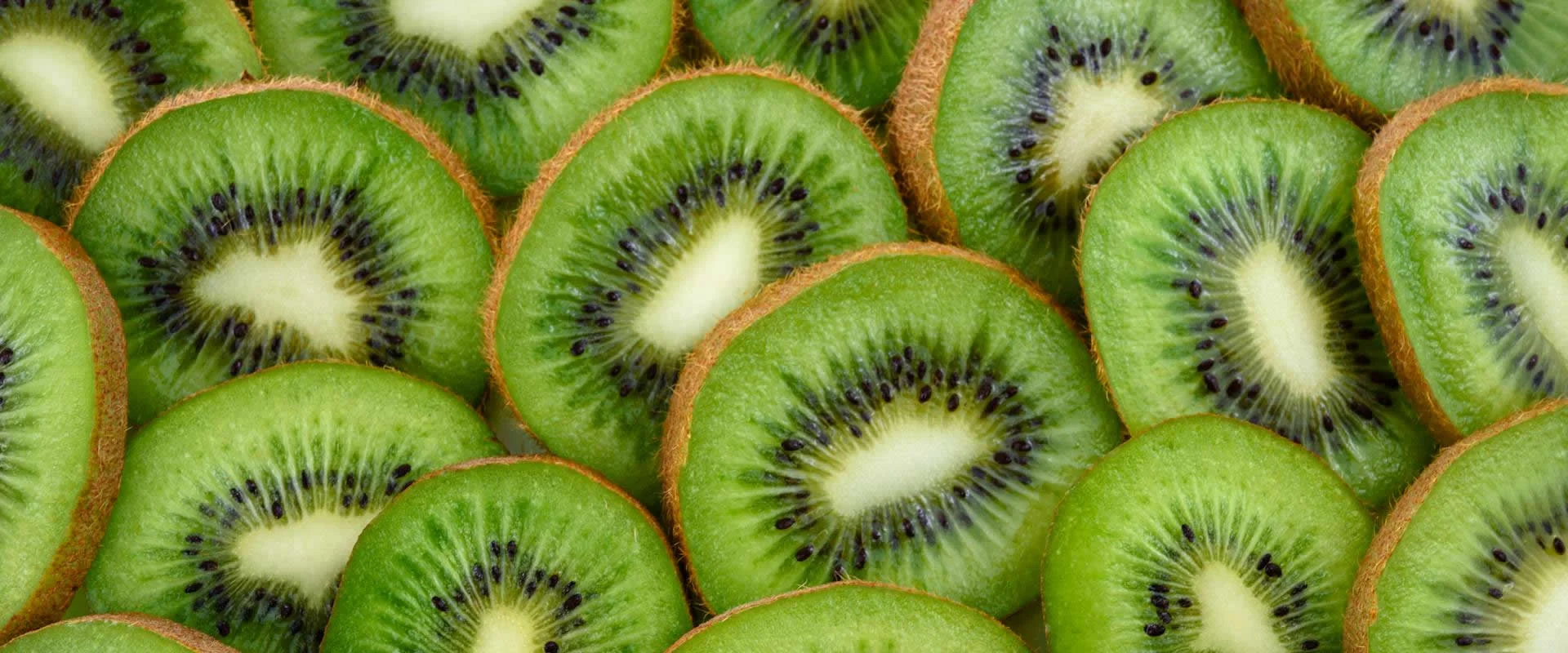 The Healthy Benefits of a Plant Based Diet Food