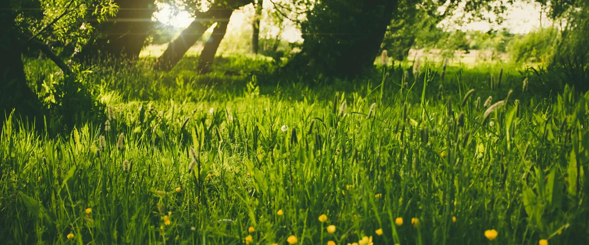 March Diet Guide for Delhi NCR – Eating Right as Winter Turns to Spring